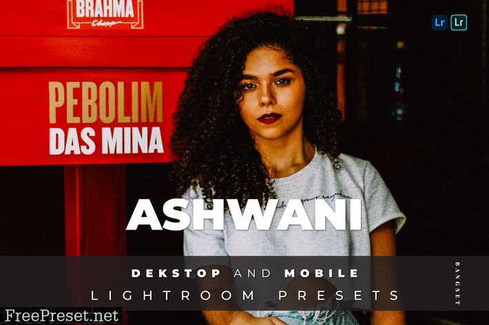 Ashwani Desktop and Mobile Lightroom Preset