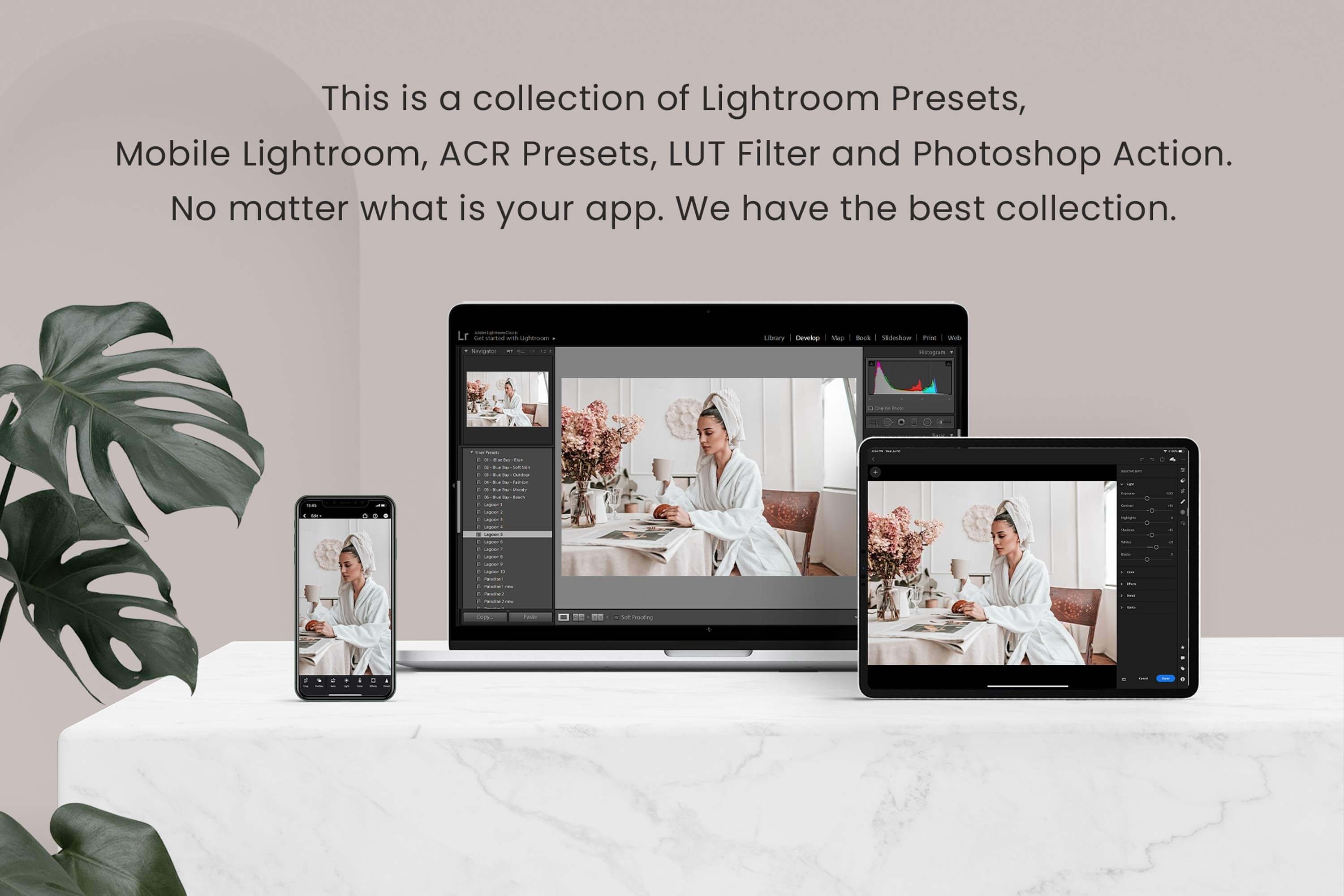 Cacao Lightroom Photoshop LUTs 6364271