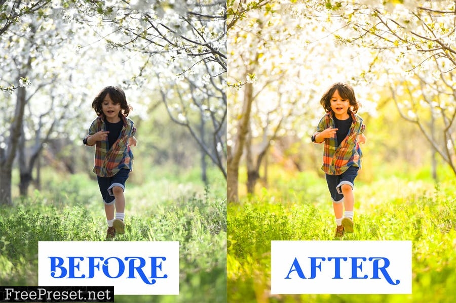 Child Summer Lightroom Presets