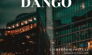 Dango Mobile and Desktop Lightroom Presets