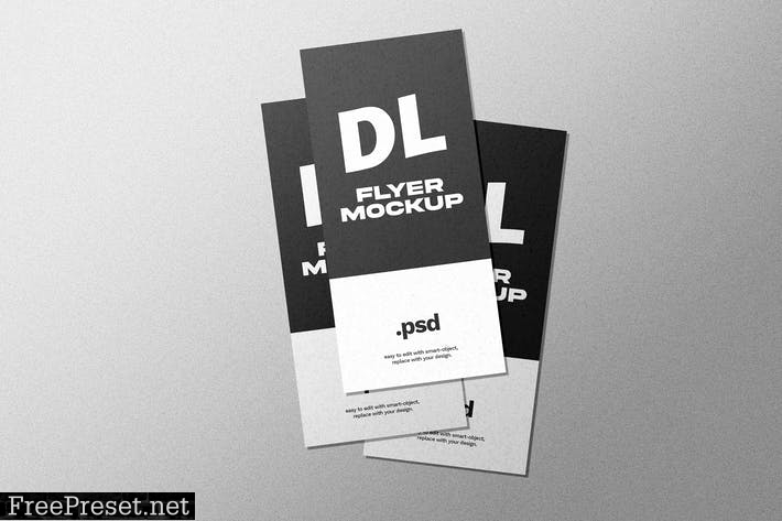 DL Flyer Mockup TE72KYE