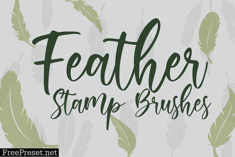 Feather | Stamp Brush 6HBB42F