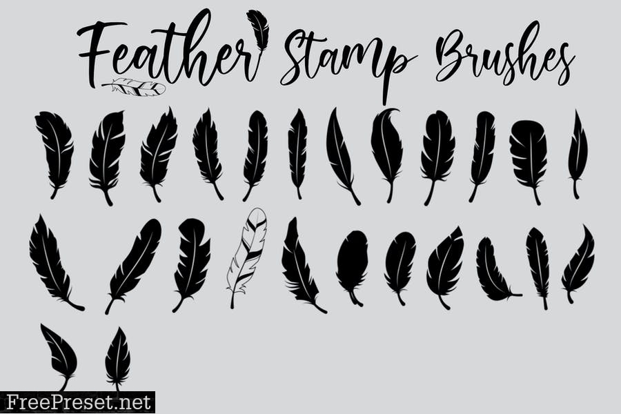 Feather | Stamp Brush 6HBB42F