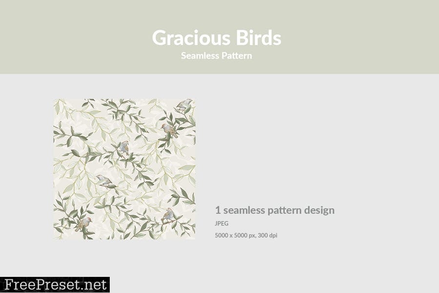 Gracious Birds XR2AVHS