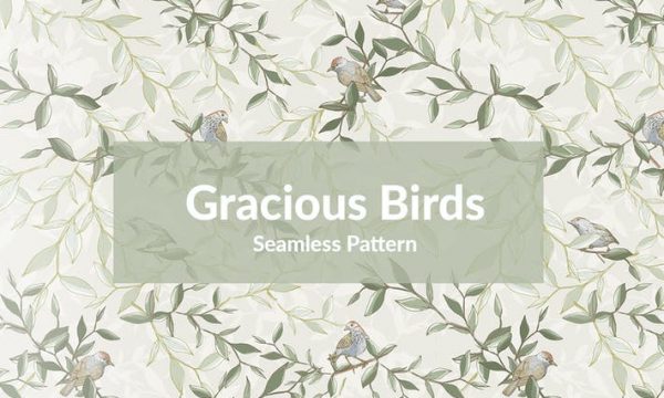 Gracious Birds XR2AVHS