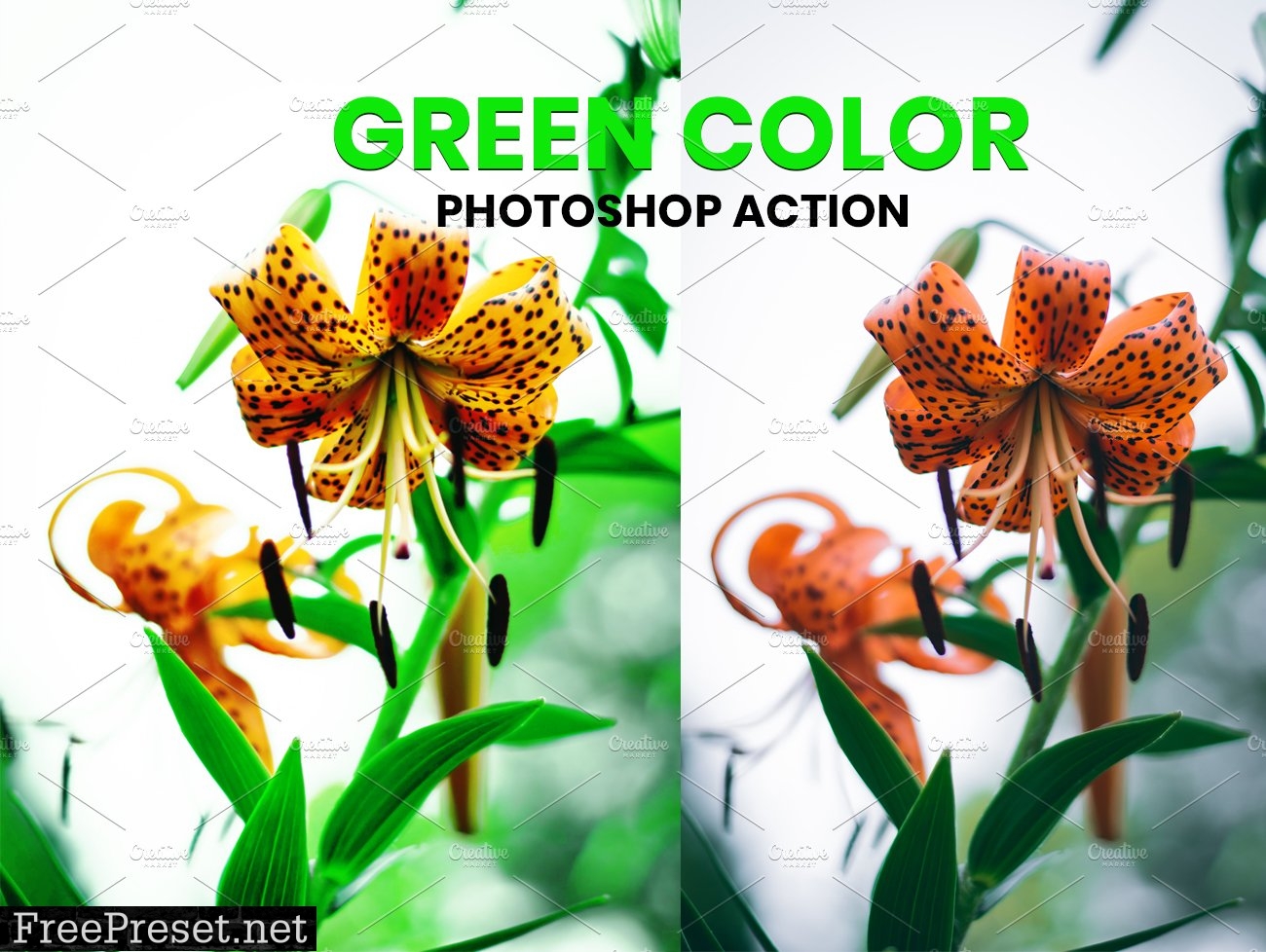 Green Color Photoshop Action 5953604