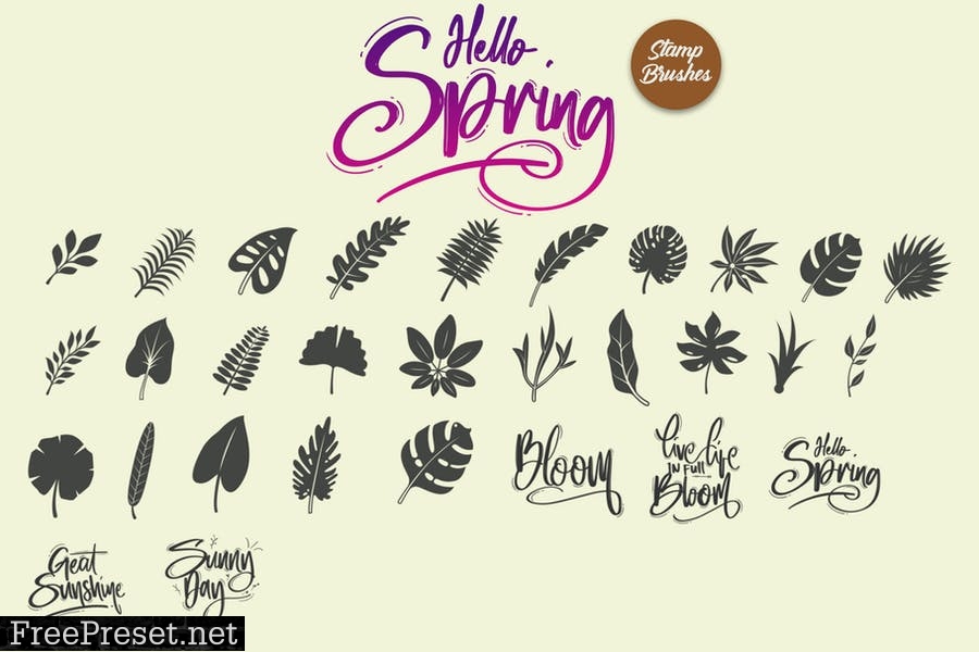 Hello Spring | Stamp Brushes 4WYPF59