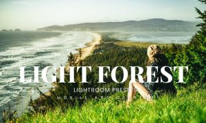 Light Forest Lightroom Presets Dekstop and Mobile