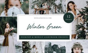 Lightroom Presets - Winter Green