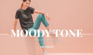 Moody Tone Lightroom Presets Dekstop and Mobile