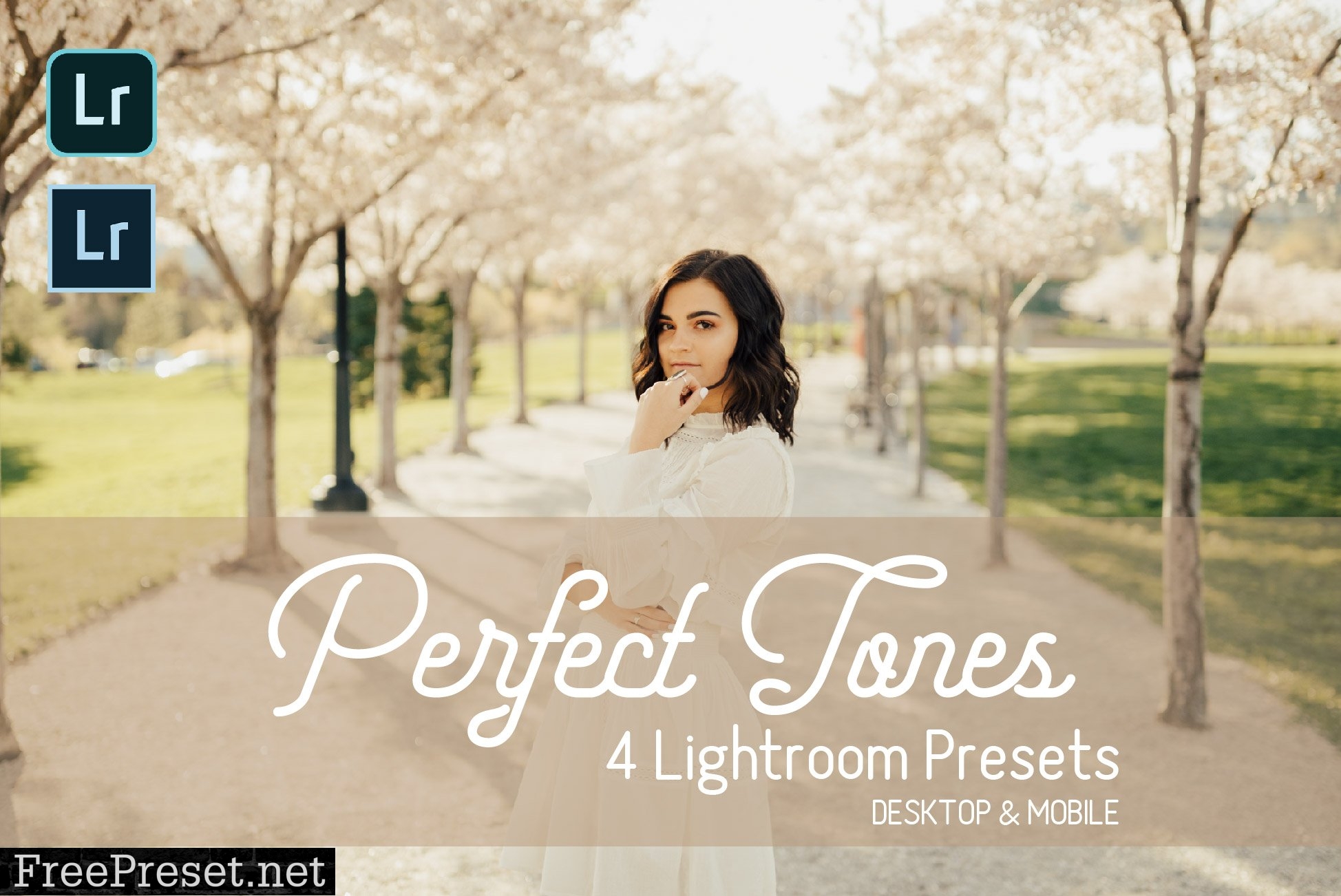 Premium Collection Lightroom Presets 6240429