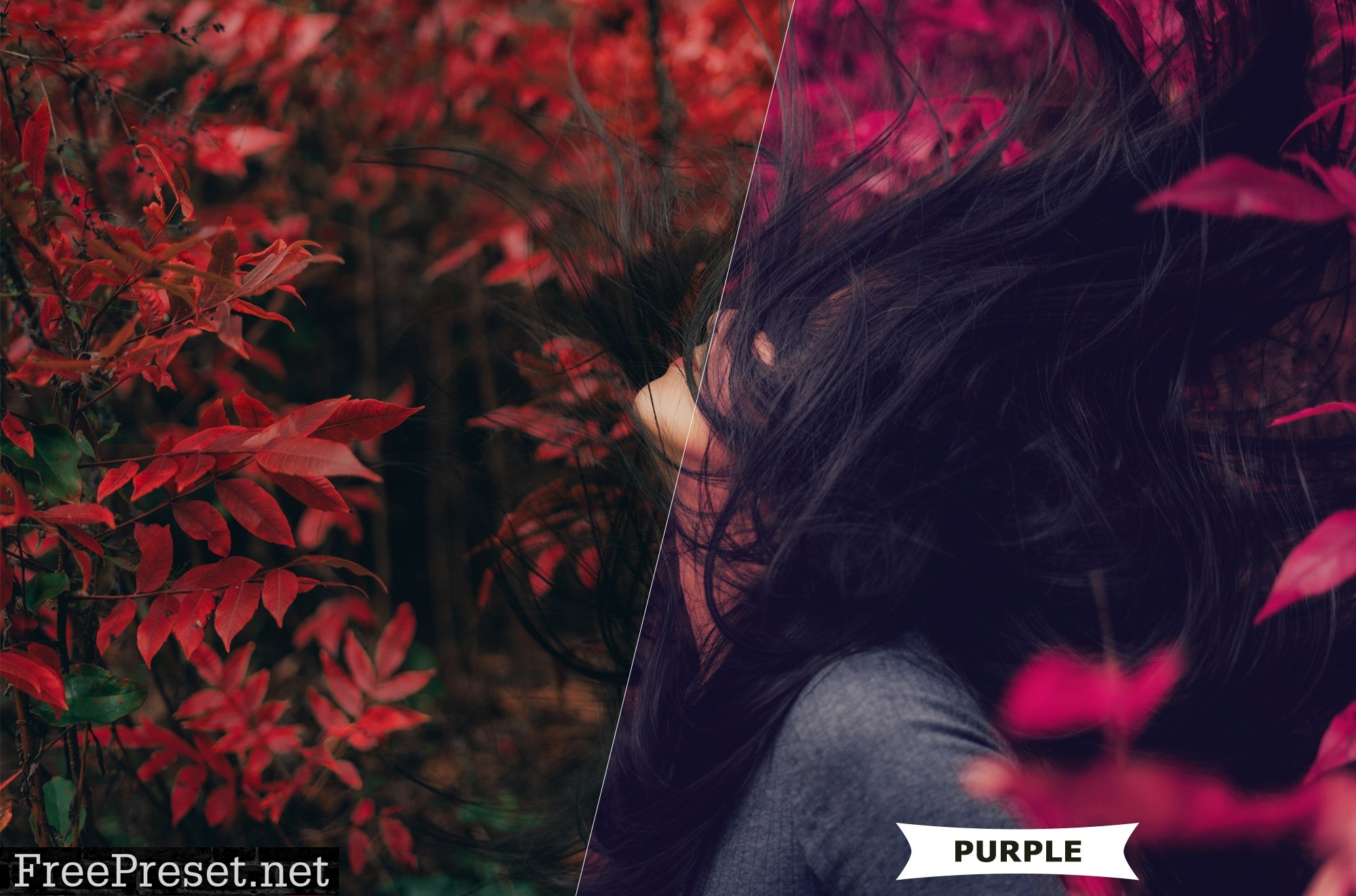 Purple Style Photoshop Action 4980961