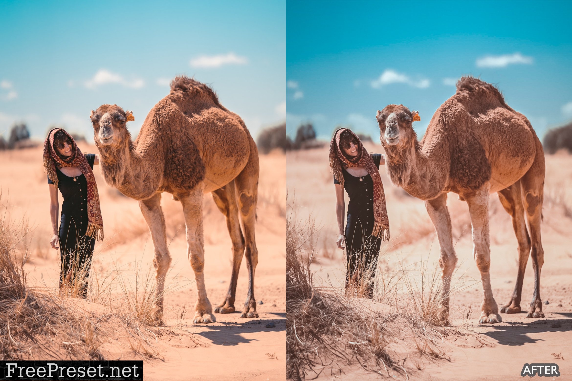 Sahara Desert Lightroom Presets 6317189