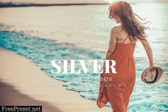 Silver Lightroom Presets Dekstop and Mobile