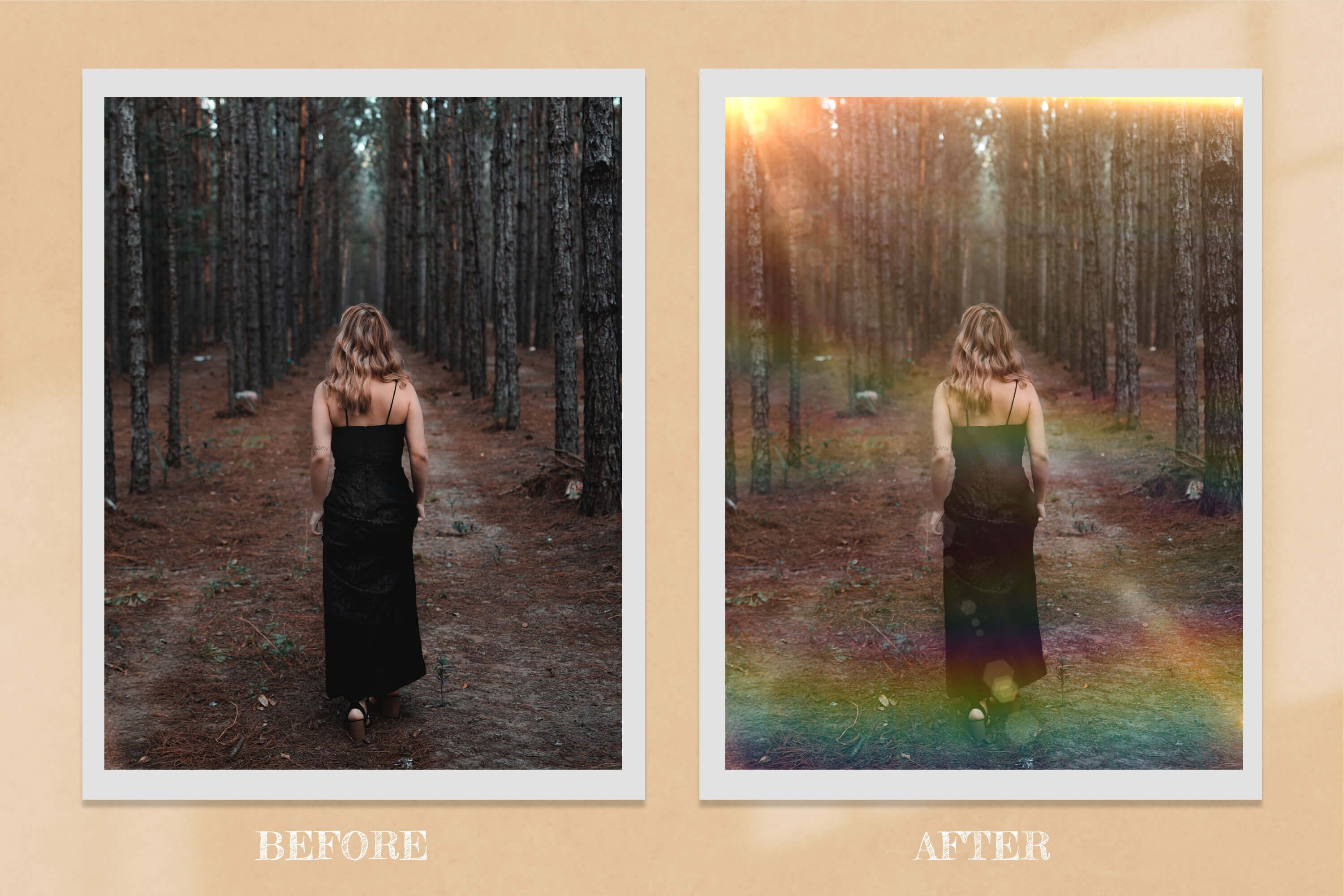 Sun Halo Photo Overlays Backdrops 6456751