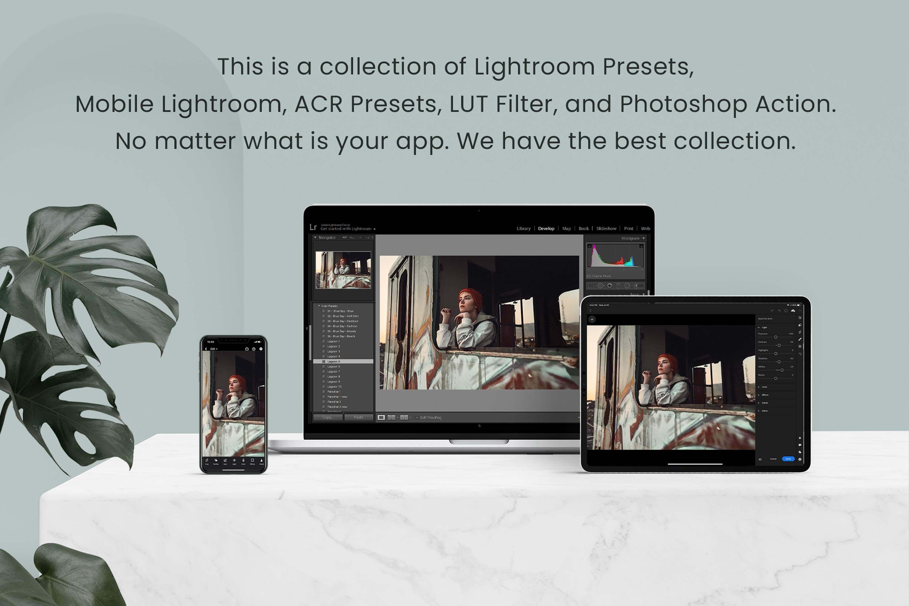 Vintage Lightroom Photoshop LUTs 6411158