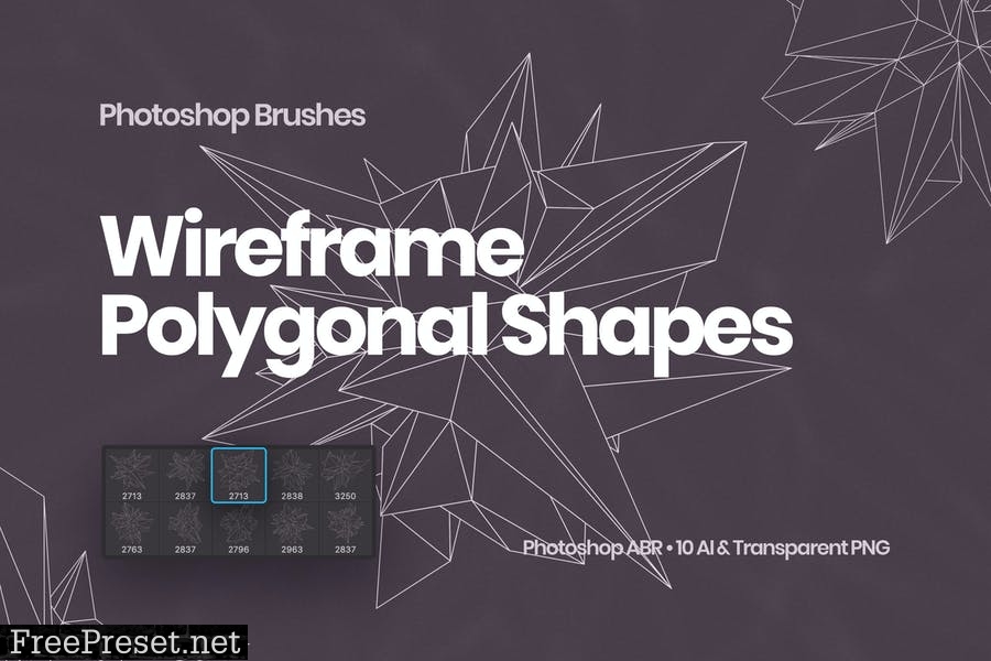 Wireframe Polygonal Shapes Photoshop Brushes SXGXWKS