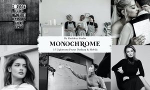 15 Monochrome Lightroom Presets