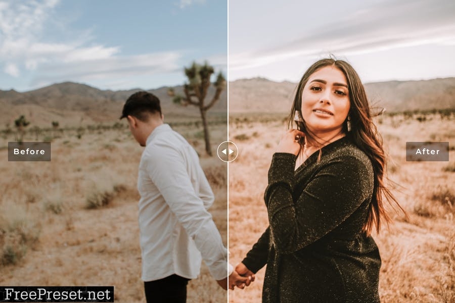 Joshua Tree Mobile & Desktop Lightroom Presets