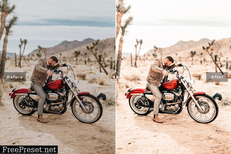 Joshua Tree Mobile & Desktop Lightroom Presets