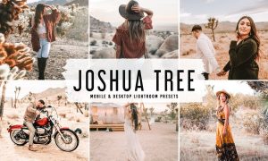 Joshua Tree Mobile & Desktop Lightroom Presets
