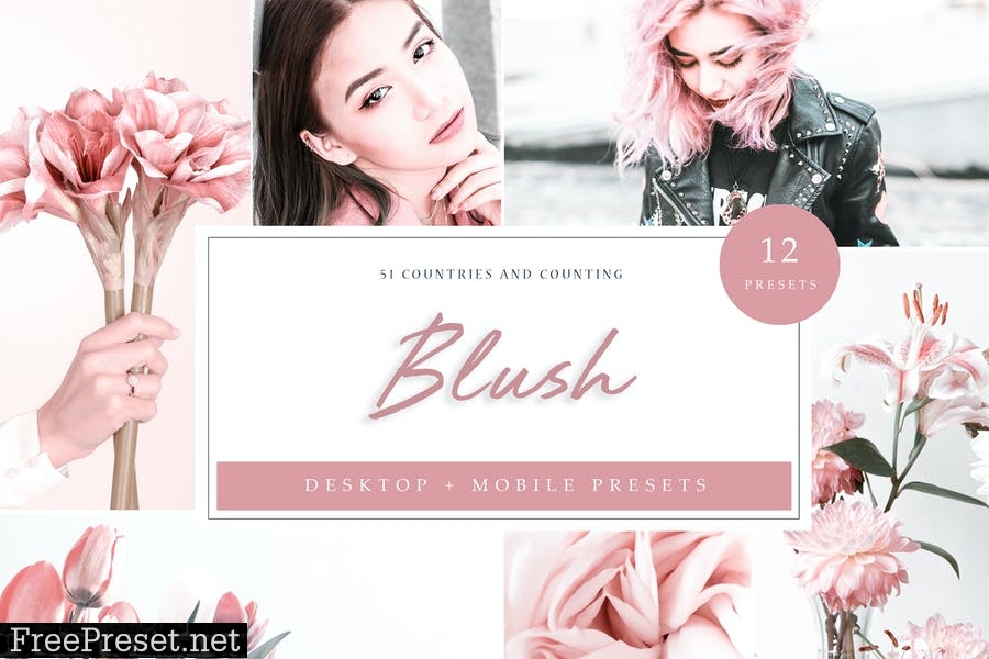 Lightroom Presets - Blush