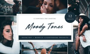 Lightroom Presets - Moody Tones