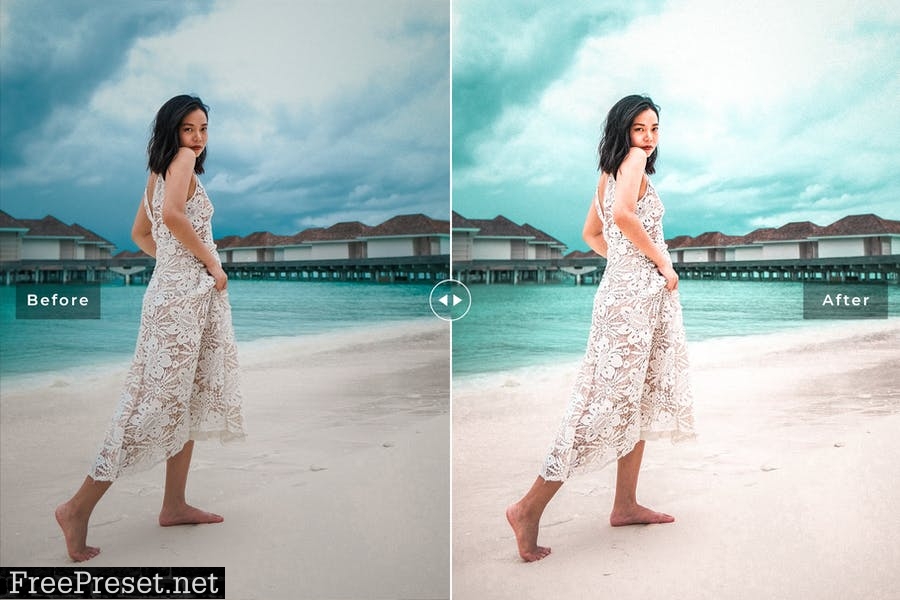 Moana Mobile & Desktop Lightroom Presets