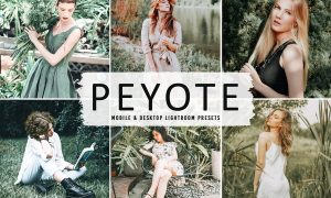 Peyote Mobile & Desktop Lightroom Presets