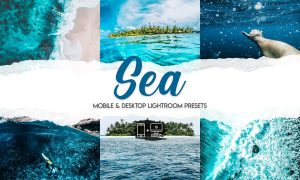 Sea - 15 Premium Lightroom Presets