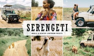 Serengeti Mobile & Desktop Lightroom Presets