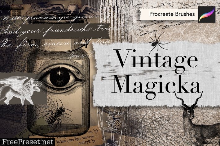 Vintage Magicka Procreate Brushes KRZFCAM