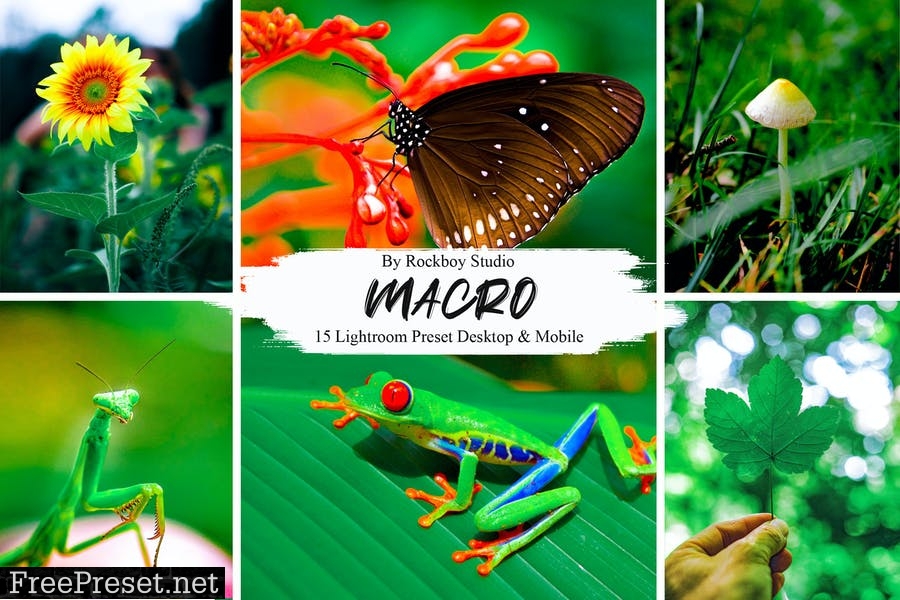 15 Macro Lightroom Presets