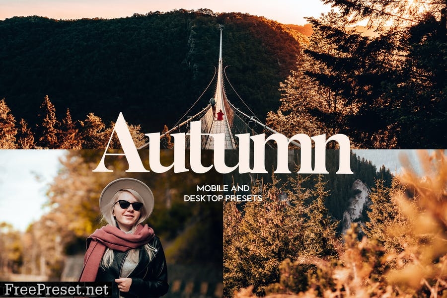ARTA Autumn Presets For Mobile and Desktop