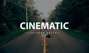 Cinematic Lightroom Presets for Mobile & Desktop