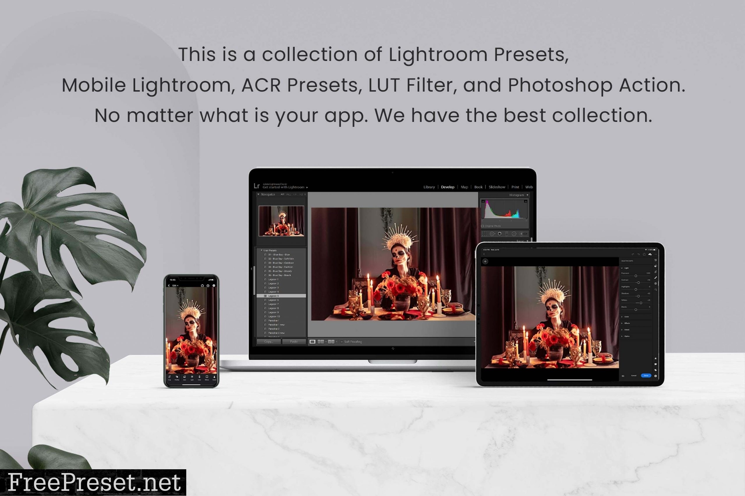 Dia de Los Muertos Lightroom PS LUTs 6525741