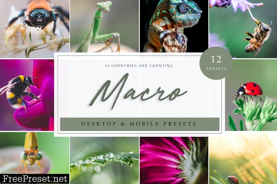 Lightroom Presets - Macro Vol. 1