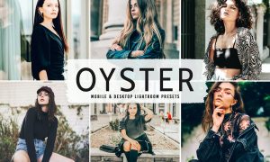 Oyster Mobile & Desktop Lightroom Presets