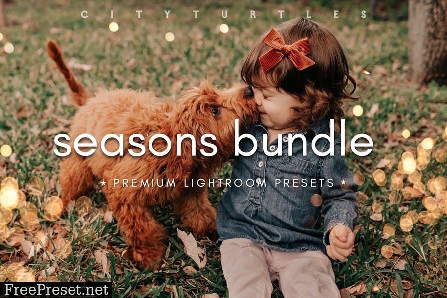 SEASONS BUNDLE Fall & Winter Lightroom Presets