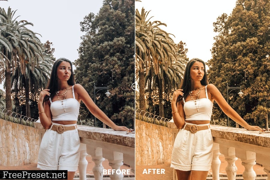 Sunny Summer Action & Lightrom Presets