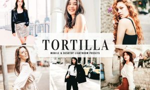 Tortilla Mobile & Desktop Lightroom Presets
