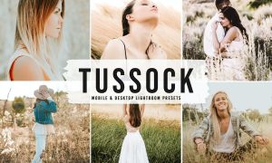 Tussock Mobile & Desktop Lightroom Presets