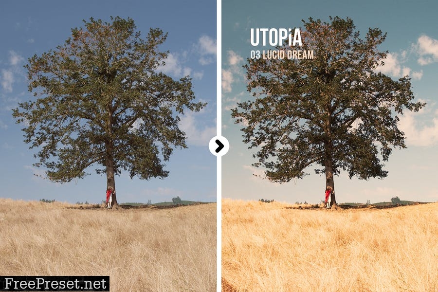 Utopia Landscape Presets