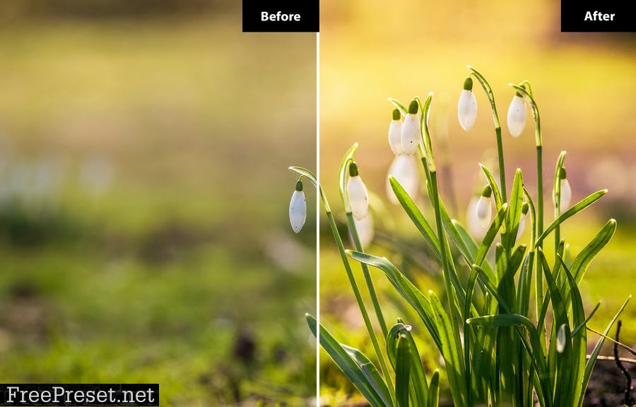 5 Spring | Lightroom and Photoshop