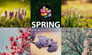 5 Spring | Lightroom and Photoshop