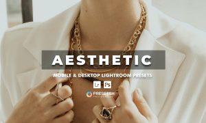 Aesthetic Lightroom presets