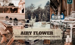 Airy Flower Lightroom Presets Dekstop and Mobile