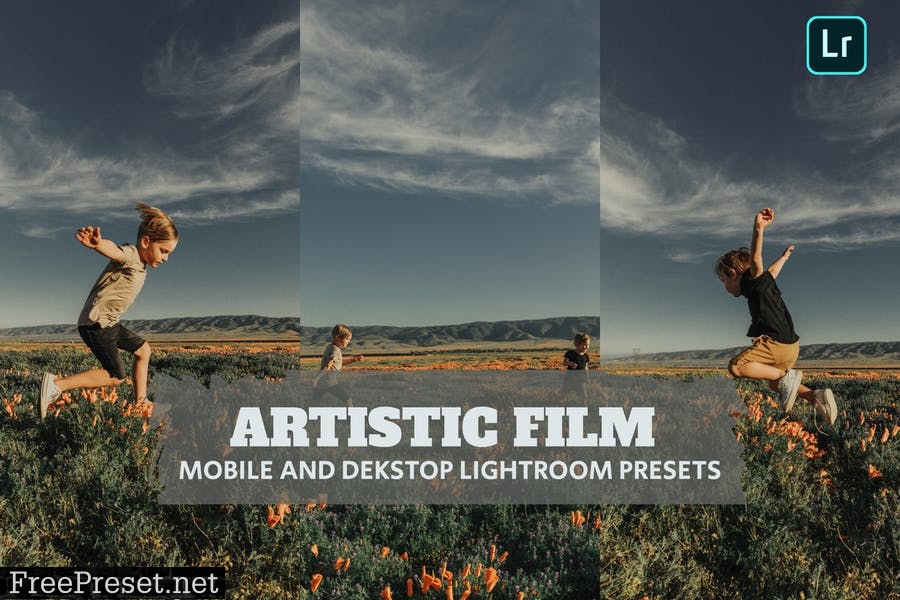 Artistic Film Lightroom Presets Dekstop and Mobile