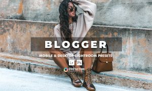 Blogger Lightroom Presets MWYCVL3