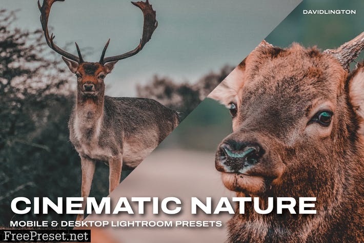 Cinematic Nature Lightroom Presets & LUTs